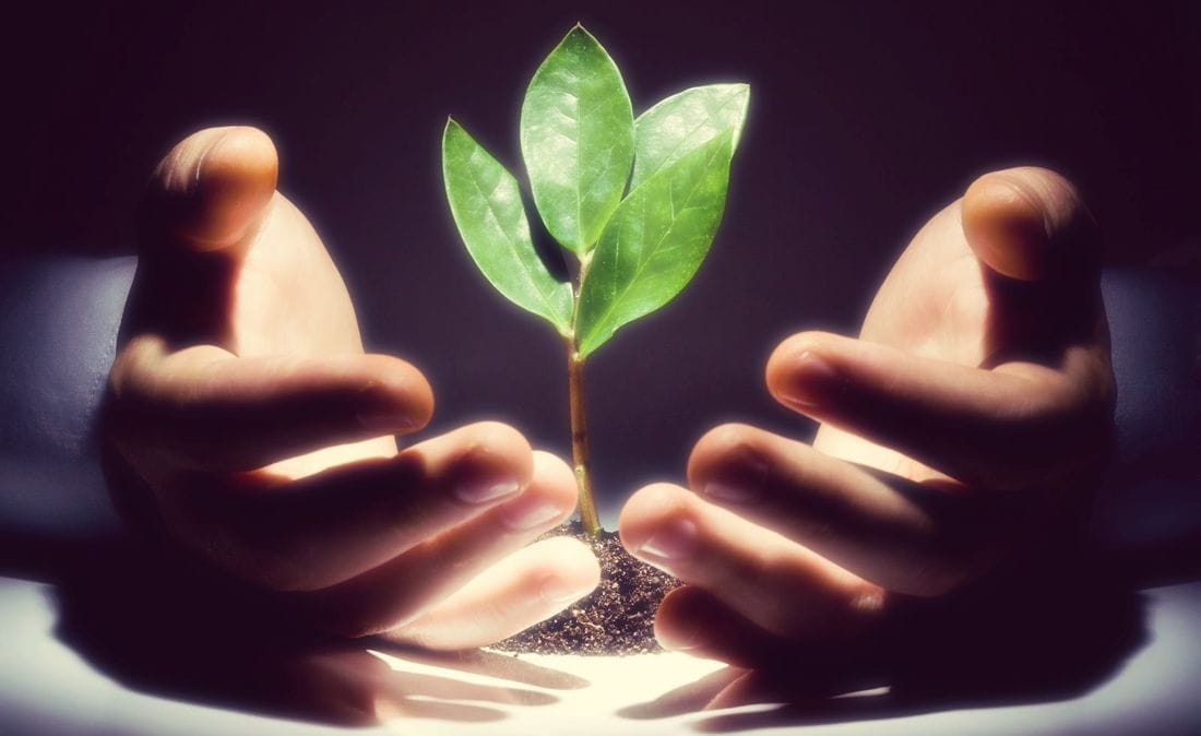 Så ser investerare på legal tech-branschen