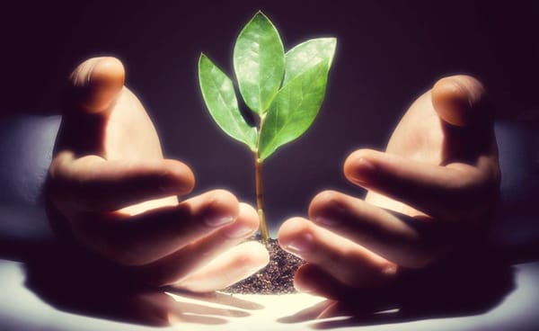 Så ser investerare på legal tech-branschen